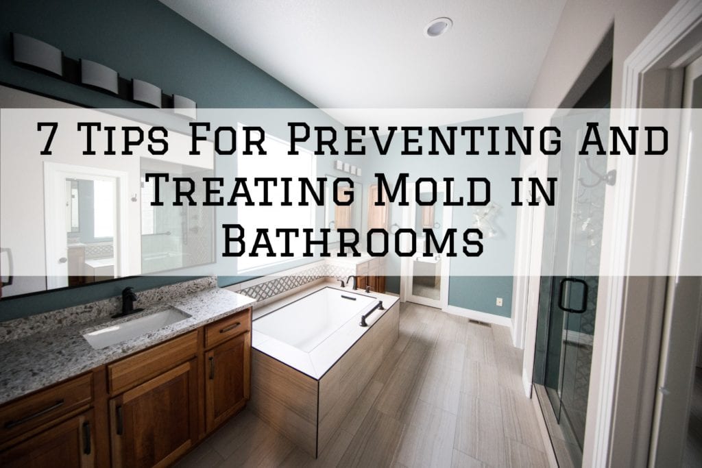 2021-02-23 Brush And Color Eco Painting Austin TX Preventing Treating Mold Bathrooms