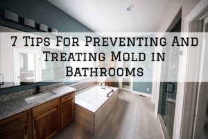 2021-02-23 Brush And Color Eco Painting Austin TX Preventing Treating Mold Bathrooms